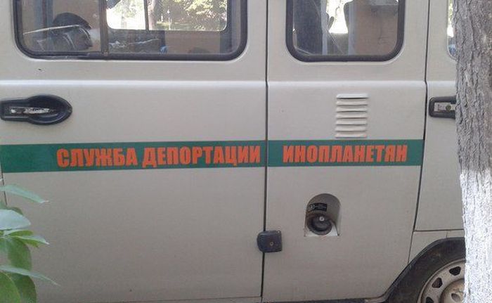 Забавные картинки