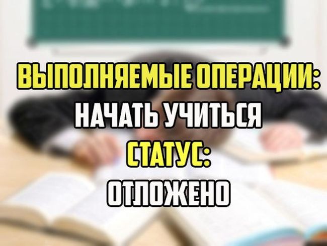 Забавные картинки