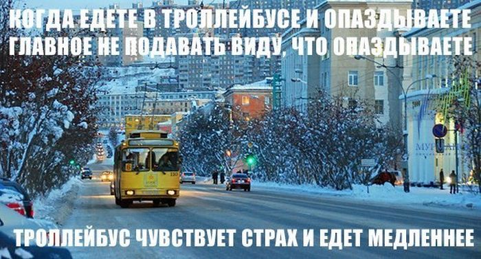 Забавные картинки