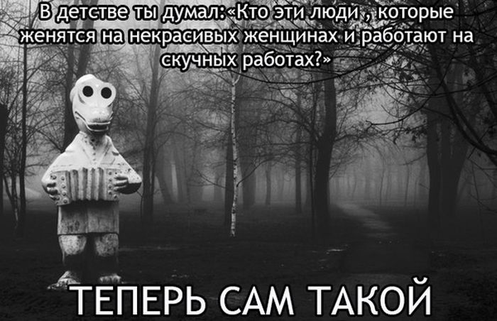 Забавные картинки