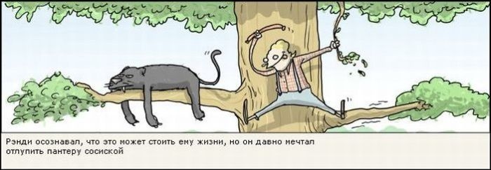 Забавные картинки
