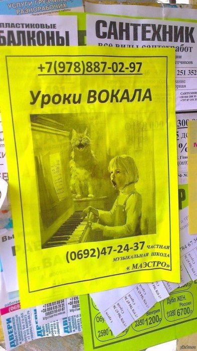 Забавные картинки