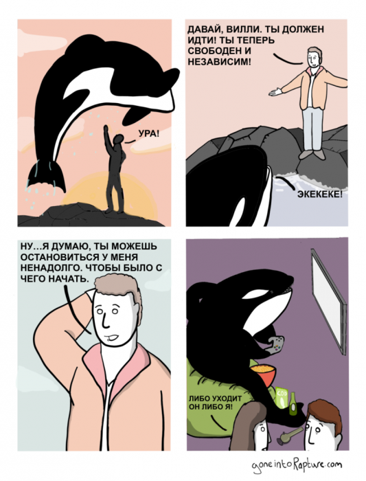 Забавные картинки
