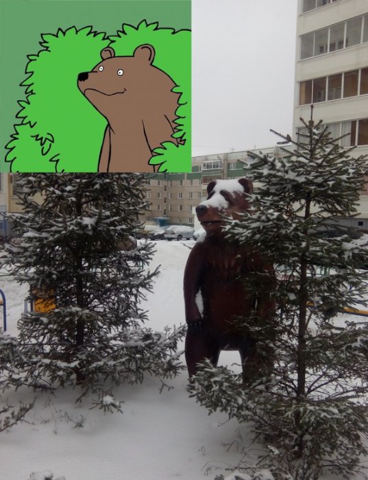 Забавные картинки