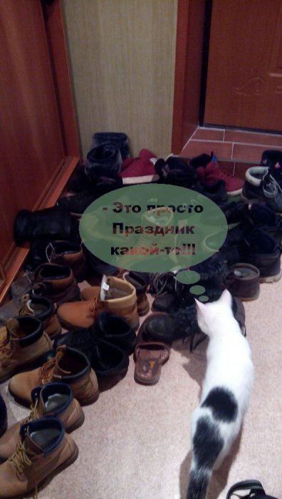 Забавные картинки
