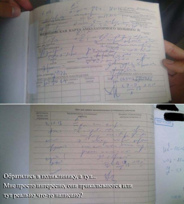 Прикольные картинки (80 фото)