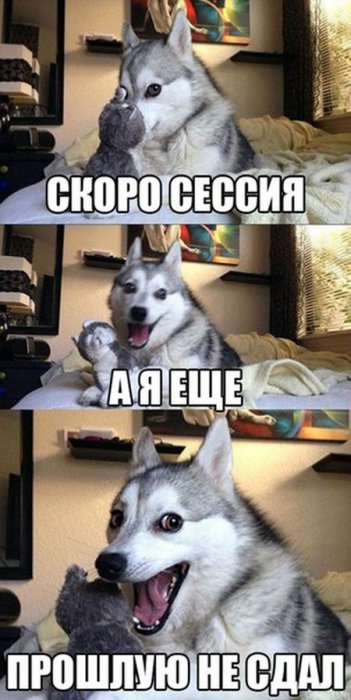 Забавные картинки