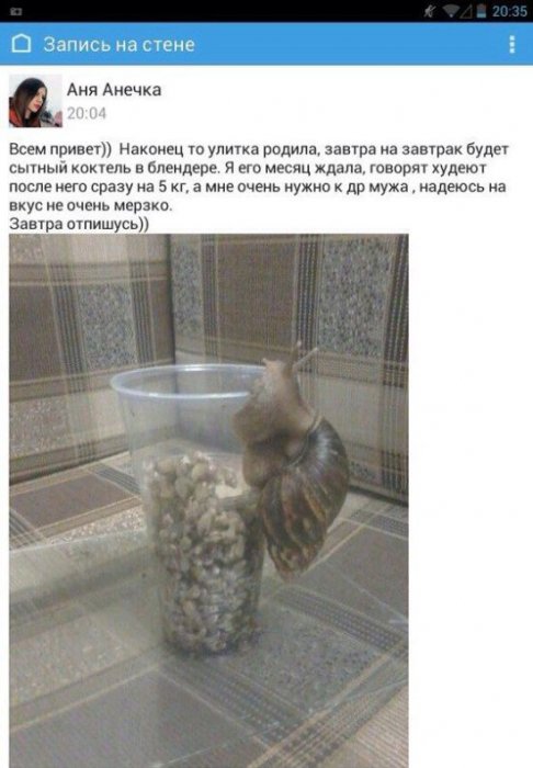 Забавные картинки