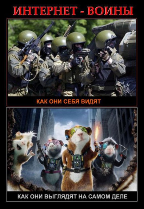 Забавные картинки