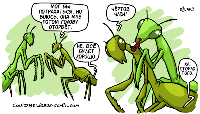 Забавные картинки