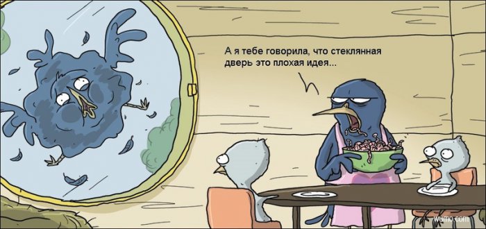 Забавные картинки