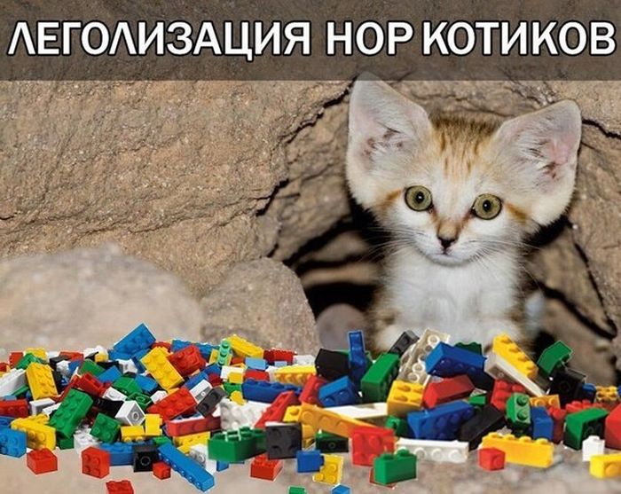 Забавные картинки
