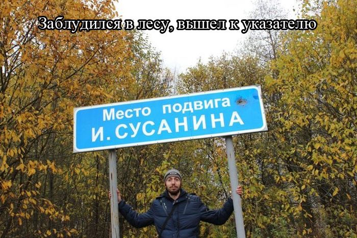 Забавные картинки