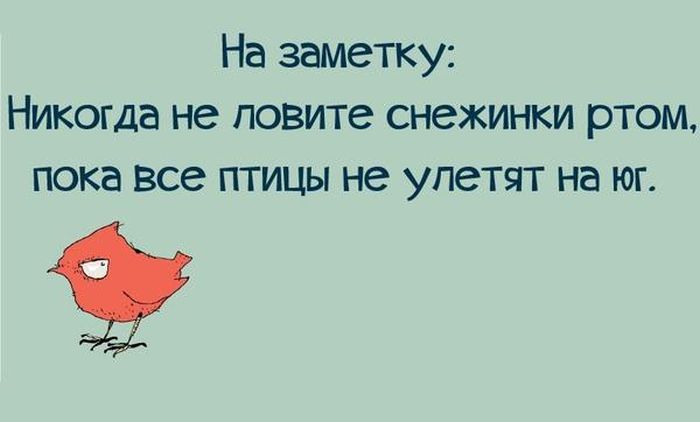 Забавные картинки