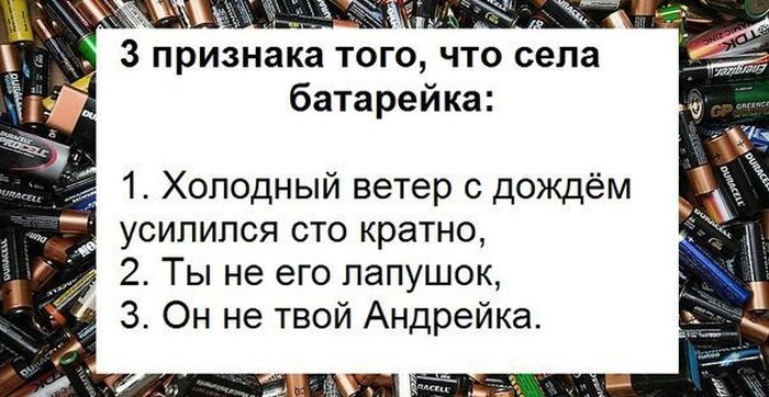 Забавные картинки