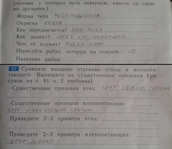 Забавные картинки