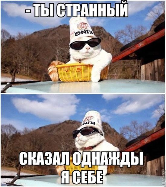 Забавные картинки