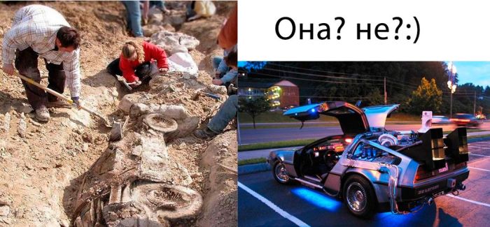 Забавные картинки