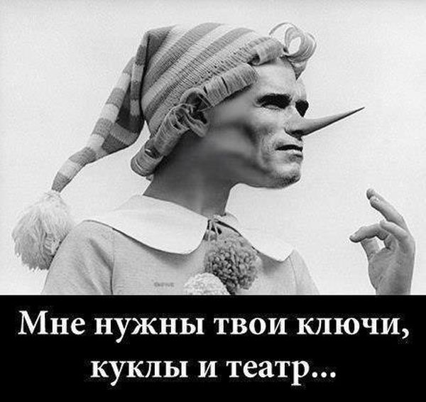 Забавные картинки