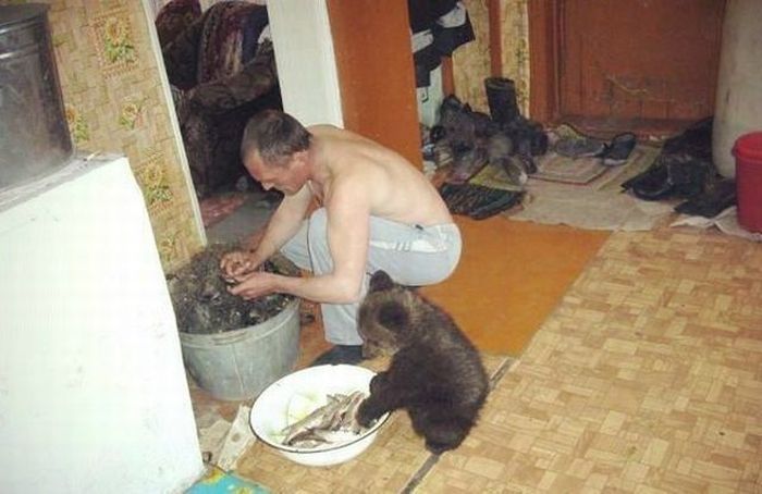 Забавные картинки