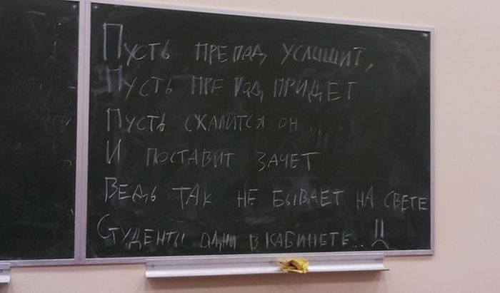 Забавные картинки