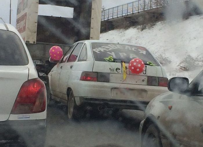 Забавные картинки