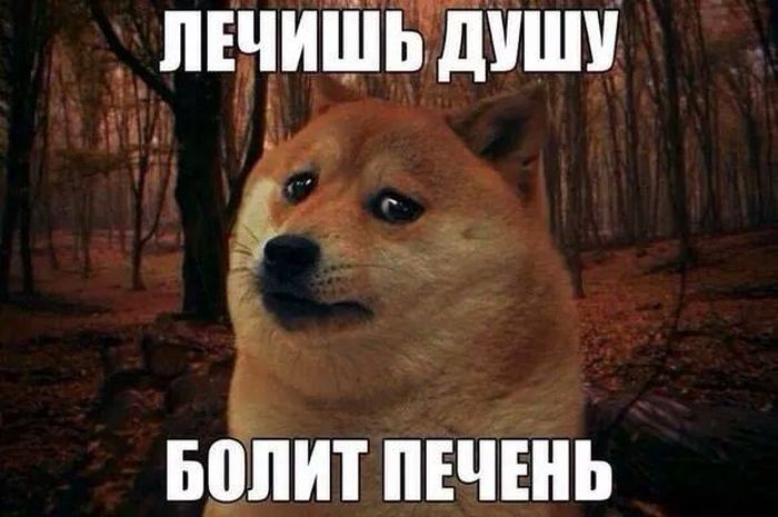 Прикольные картинки (81 фото)