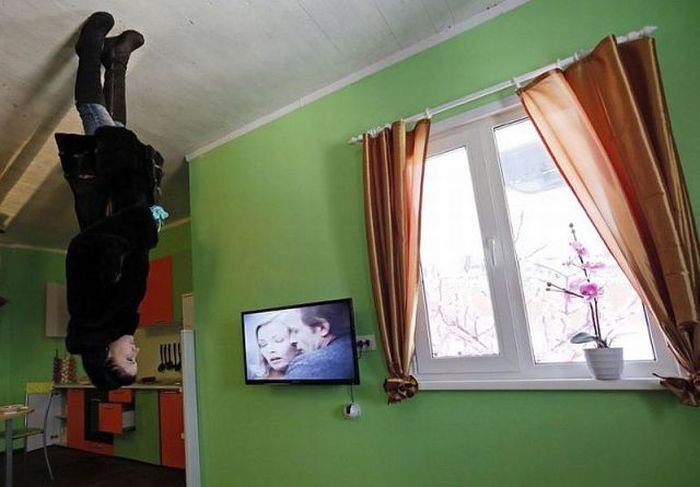 Прикольные картинки (81 фото)