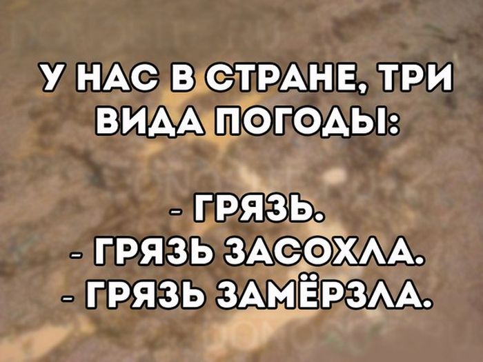 Прикольные картинки (81 фото)