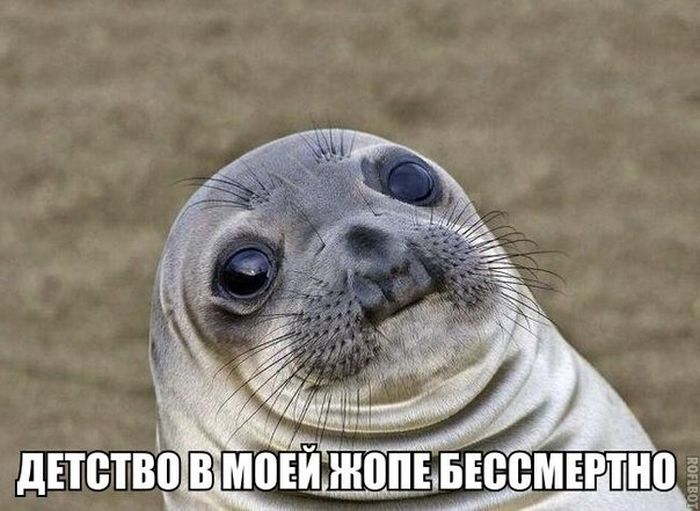 Прикольные картинки (81 фото)