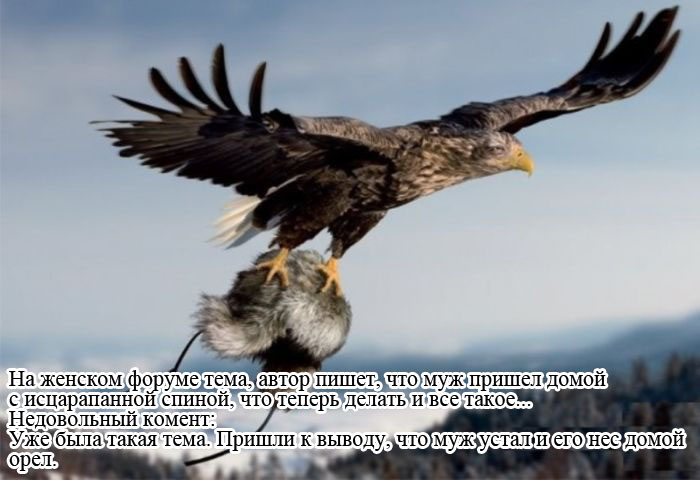 Прикольные картинки (81 фото)