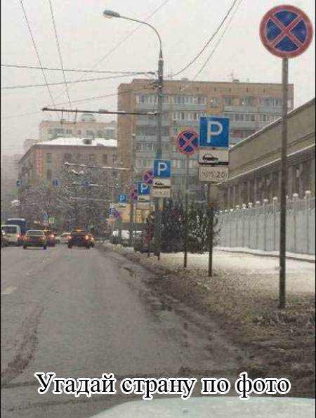 Прикольные картинки (81 фото)
