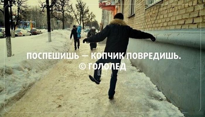Прикольные картинки (81 фото)