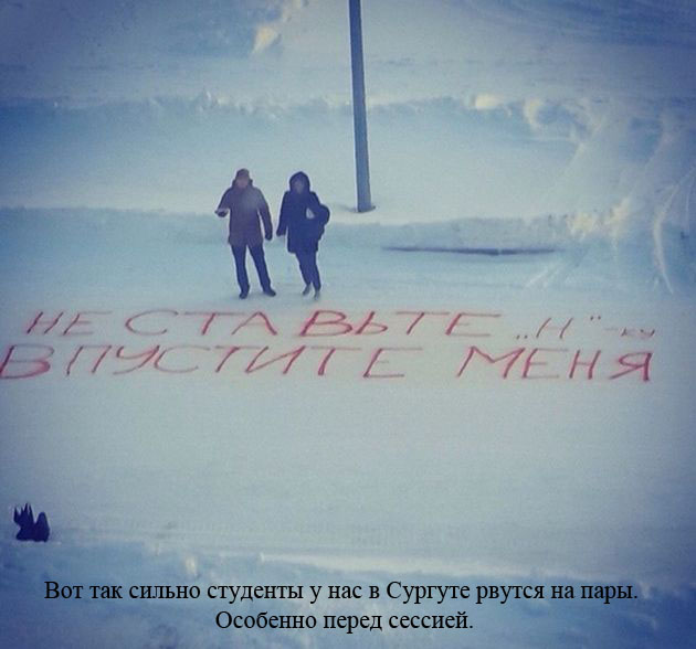 Прикольные картинки (81 фото)