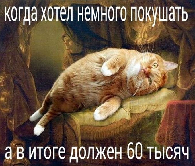 Прикольные картинки (81 фото)
