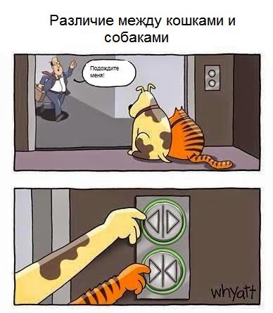 Забавные картинки
