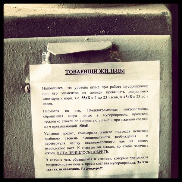 Забавные картинки