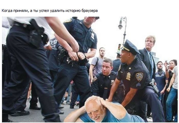Забавные картинки
