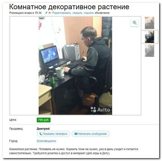 Забавные картинки