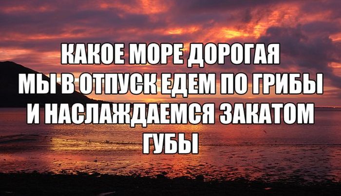 Забавные картинки