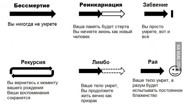Что бы выбрали вы?