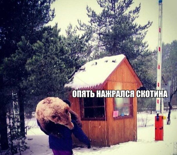 Забавные картинки