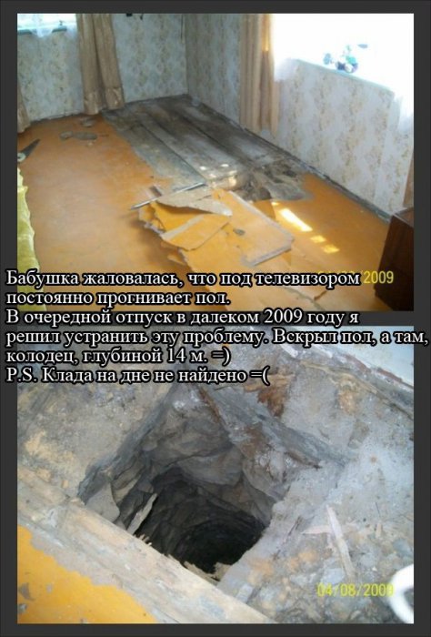 Забавные картинки