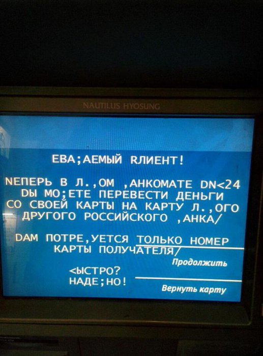 Забавные картинки