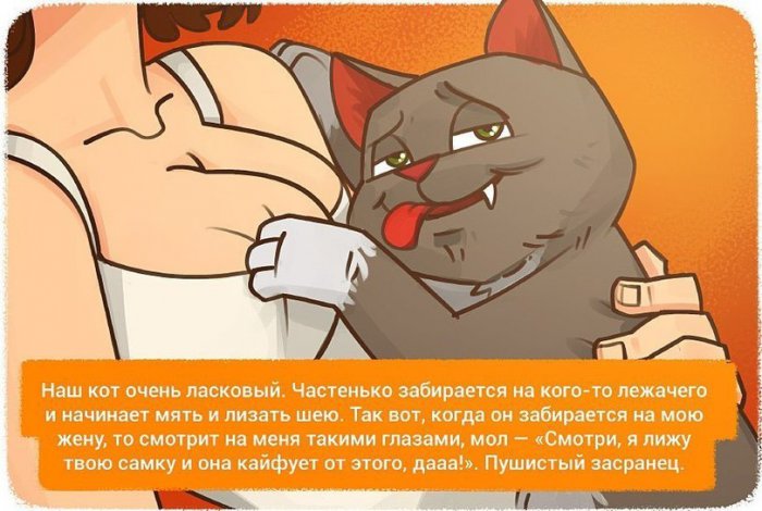 Забавные картинки