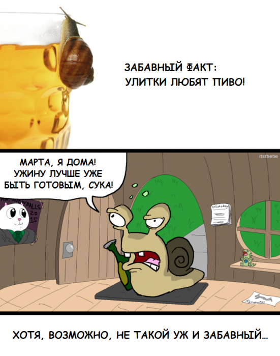 Забавные картинки