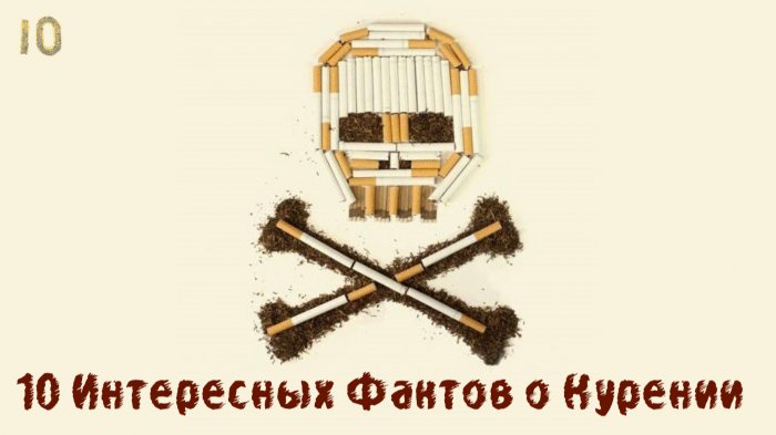 10 интересных фактов о курении