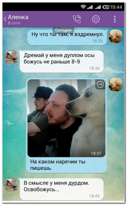 Забавные картинки