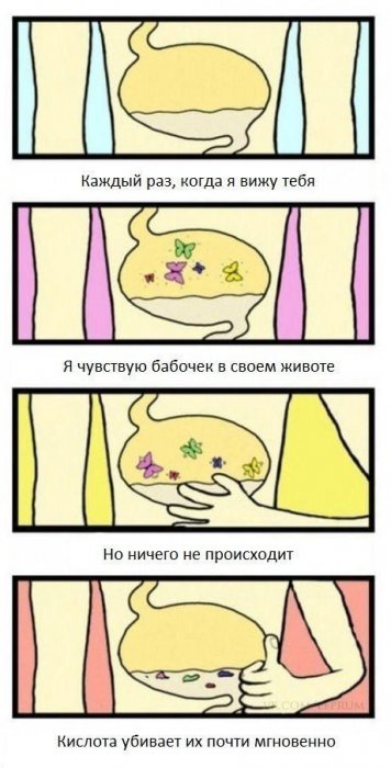 Забавные картинки