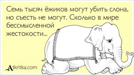 Свежие "Аткрытки"